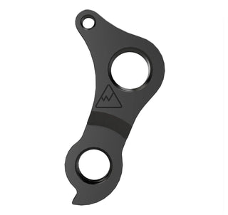 SP Derailleur Hanger Replacement